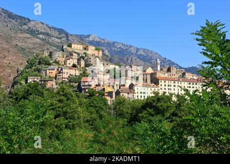 Die Zitadelle aus dem 18.. Jahrhundert von Corte (Adlerhorst) in Corte (Haute-Corse) auf der Insel Korsika, Frankreich Stockfoto