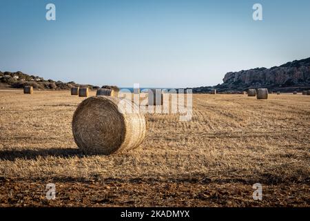 Runde Heuballen auf dem Feld. Landschaft der zyprischen Küste im Gebiet von Kap Greco. Stockfoto