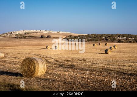 Runde Heuballen auf dem Feld. Landschaft der zyprischen Küste im Gebiet von Kap Greco. Stockfoto