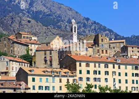 Die Kirche der Verkündigung und der glockenturm (Glockenturm) in Corte (Haute-Corse) auf der Insel Korsika, Frankreich Stockfoto