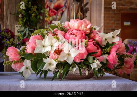 Blumenarrangements im barocken Stil in einer Vase auf dem Tisch. Weißer Cornus kousa (Hundeholz) und pinkfarbene Pfingstrosen. Stockfoto