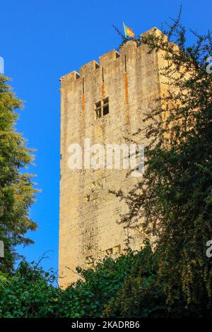 Eine vertikale Aufnahme der Steinmauer von Castelo de Palmela. Portugal. Stockfoto