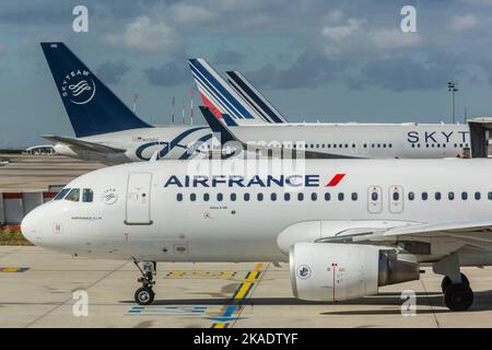 FLUGHAFEN ROISSY CHARLES DE GAULLE AIR FRANCE FLUGZEUGE Stockfoto