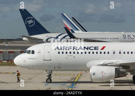 FLUGHAFEN ROISSY CHARLES DE GAULLE AIR FRANCE FLUGZEUGE Stockfoto