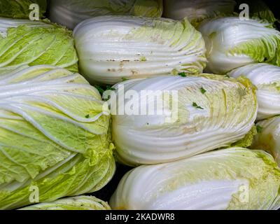 Augusta, GA USA - 12 22 21: Einzelhandel Frische Produkte Reihen von Bok Choy Stockfoto