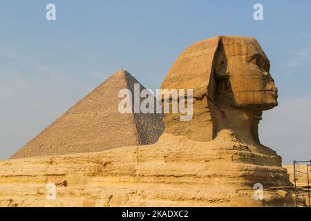 Eine Seitenansicht der Großen Sphinx Giza und der Großen Pyramide im Hintergrund vor blauem Himmel Stockfoto