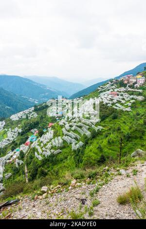 Juli 19. 2022 Himachal Pradesh Indien. Bauern in Himachal verwenden Hagelschutznetze, um Apfelhaine oder einen Obstgarten zu schützen. Step-Hill-Apfelanbau. Stockfoto