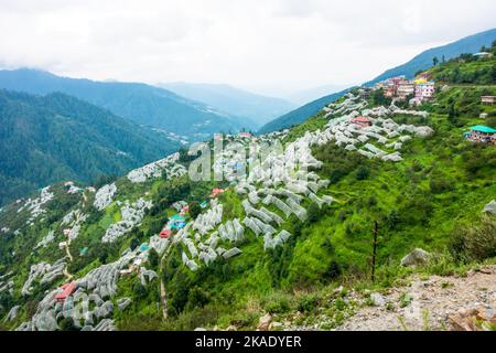 Juli 19. 2022 Himachal Pradesh Indien. Bauern in Himachal verwenden Hagelschutznetze, um Apfelhaine oder einen Obstgarten zu schützen. Step-Hill-Apfelanbau. Stockfoto