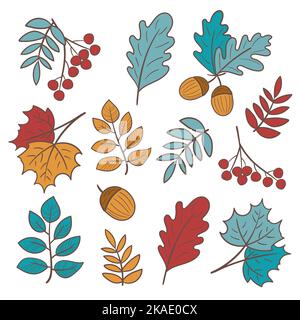 Set aus bunten Herbstblättern und Beeren. Isoliert auf weißem Hintergrund. Einfacher Cartoon-Stil. Vektorgrafik. Handgezeichnete Elemente Stock Vektor