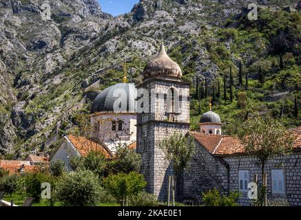 Kotor, Montenegro - 29. April 2022: Blick auf die St.-Nicolas-Kirche in der Altstadt von Kotor. Felsige Berge im Hintergrund. Stockfoto