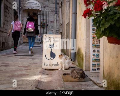 Kotor, Montenegro - 29. April 2022: Zwei Katzen sitzen auf einem Fußabtreter vor einem Souvenirladen in einer engen Straße. Zwei wandelnde Schulmädchen mit pinkfarbenen Rucksäcken. Stockfoto