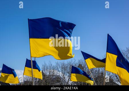 Ukrainische Flaggen in der Luft. Stockfoto