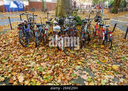 Fahrradparkplatz im Herbstlaub in einem Wohngebiet Stockfoto