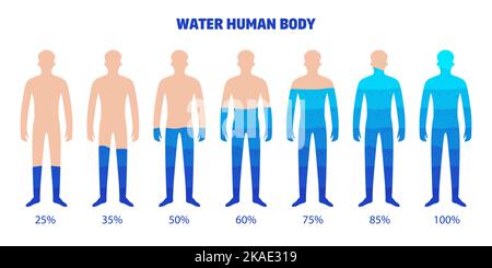 Wasser menschlicher Körper Satz isolierter Infografik Elemente mit Körperformen gefüllt mit Wasser mit prozentualer Vektorgrafik Stock Vektor