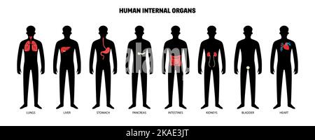 Menschliche innere Organe mit isolierten dunklen Silhouetten des menschlichen Körpers mit farbcodierten Gliedmaßen-Systemen Vektor-Illustration gesetzt Stock Vektor