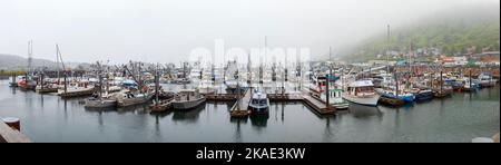 Panoramablick auf kommerzielle und Charter-Fischerboote im nebligen Hafen; Kodiak; Kodiak Island; Alaska; USA Stockfoto