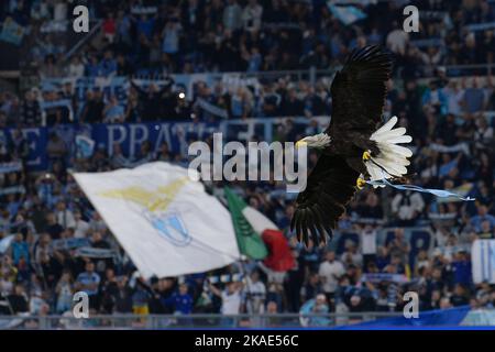 ROM, ITALIEN - 30. OKTOBER: SS Lazios Adler Maskottchen Olimpia während der Serie Ein Spiel zwischen SS Lazio und US Salernitana 1919 im Stadio Olimpico, Rom, I Stockfoto