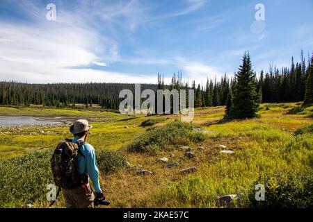 Ein Jäger und Fotograf erkundet die Snowy Mountain Range, ein grünes Tal, umgeben von Kiefernwäldern in Wyoming Stockfoto