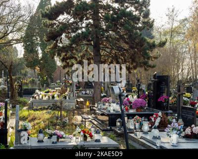 Polen, Raszyn 11 02 2022: Allerheiligen auf kleinem Friedhof. Stockfoto