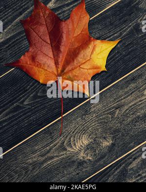 Herbstblatt auf Holzboden, Nahaufnahme, Hintergrundstruktur Stockfoto