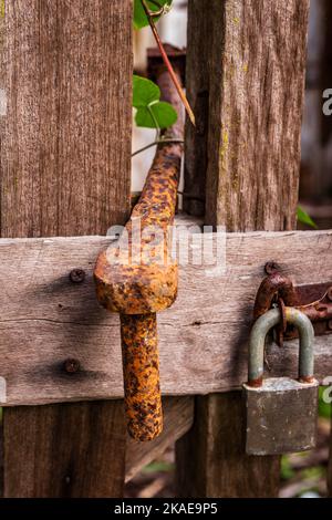 Eine Nahaufnahme eines alten rostigen Torscharniers und eines Vorhängeschlosses auf einer Holztür Stockfoto