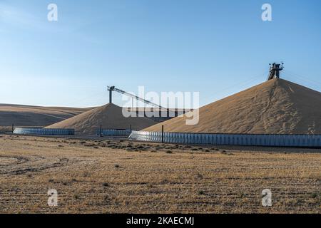 Offene Getreidelagerung am Ende der Erntezeit im Palouse, WA Stockfoto