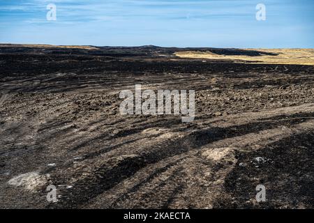 Verbrannte Felder im Palouse, WA Stockfoto