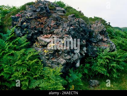 Detail des beheizten und geschmolzenen Steinwandkerns auf der SE-Seite der Carradale Point Eisenzeit Vitrified Fort, Kintyre, Argyll and Bute, Schottland, Großbritannien. Stockfoto