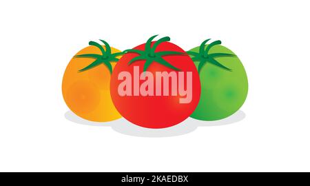 Eine Vektordarstellung von roten, grünen und gelben Tomaten, isoliert auf weißem Hintergrund Stock Vektor