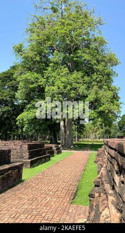 Die Ruinen der historischen Stadt Sukhothai und zugehörigen historischen Städten, Indien, vertikal Stockfoto