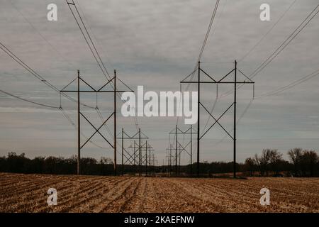 Ein Maisfeld mit über-Stromleitungen im Hintergrund an einem bewölkten Tag Stockfoto