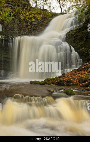 Scaleber Force ist ein 40 Meter hoher Wasserfall auf Stockdale Beck, in der Nähe des Dorfes Settle im Yorkshire Dales National Park, Großbritannien Stockfoto