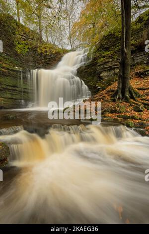 Scaleber Force ist ein 40 Meter hoher Wasserfall auf Stockdale Beck, in der Nähe des Dorfes Settle im Yorkshire Dales National Park, Großbritannien Stockfoto