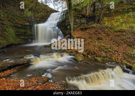 Scaleber Force ist ein 40 Meter hoher Wasserfall auf Stockdale Beck, in der Nähe des Dorfes Settle im Yorkshire Dales National Park, Großbritannien Stockfoto