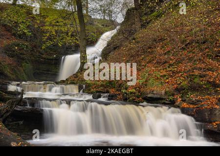 Scaleber Force ist ein 40 Meter hoher Wasserfall auf Stockdale Beck, in der Nähe des Dorfes Settle im Yorkshire Dales National Park, Großbritannien Stockfoto