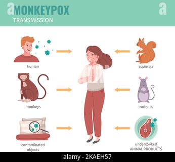 Affenpocken-Virus-Infografiken mit Übertragungswegen von Menschen und Tieren Vektordarstellung Stock Vektor