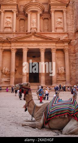 Eine vertikale Aufnahme eines Kamels, das vor der historischen Rosenstadt Petra in Jordanien ruht Stockfoto