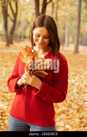 Portrait von niedlichen schönen Frau in gemütlichen roten Strickpullover mit Strauß von gelben Blättern isoliert auf goldenen Wald Hintergrund. Glückliche junge Dame Stockfoto