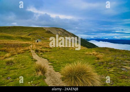 Paddy's Track führt zum Relax Shelter, in der Nähe des Mount Robert, Nelson Lakes National Park, South Island, Neuseeland. Über der Baumlinie. Stockfoto