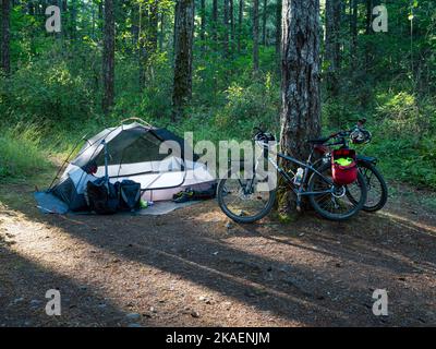 WA22664-00...WASHINGTON - Fahrradcampingplatz auf dem Quilcene Campground in der Stadt Quilcene, gelegen an der Schotterradroute durch Washington. Stockfoto