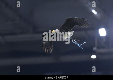 Rom, Italien. 30. Oktober 2022. Lazio Maskottchen Adler Olimpia während der Serie Ein Spiel zwischen Lazio und US Salernitana 1919 im Stadio Olimpico, Rom, Italien am 30. Oktober 2022. Kredit: Giuseppe Maffia/Alamy Live Nachrichten Stockfoto