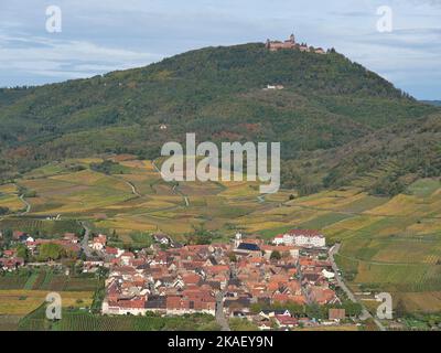 LUFTAUFNAHME. Mittelalterliches Dorf am Fuße der Vogesen mit der Burg Haut-Koenigsbourg in der Ferne. St-Hippolyte, Elsass, Frankreich. Stockfoto