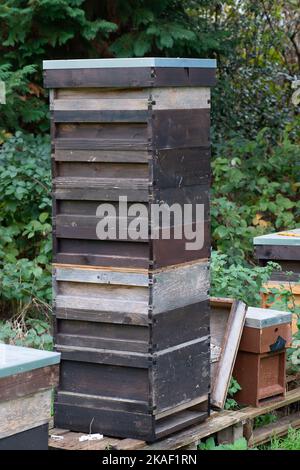 Stoke Poges, Buckinghamshire, Großbritannien. 2.. November 2022. Bienenstöcke. Es war heute ein kühlerer Tag in den Stoke Poges Memorial Gardens, da die Temperaturen von den Hochs des Wochenendes gesunken sind. Die Gärten sind jedoch voller wunderschöner Herbstfarben. Quelle: Maureen McLean/Alamy Live News Stockfoto