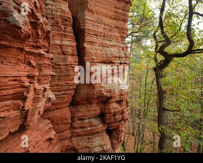 Die Felsformation des Altschlossfelsen. Eppenbrunn, Rheinland-Pfalz, Deutschland. Stockfoto