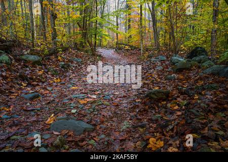 Herbstfarben und Wasserfälle im Shenandoah National Park Stockfoto