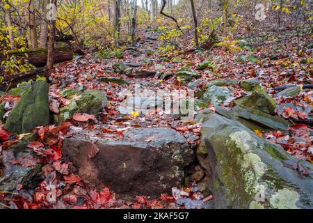 Herbstfarben und Wasserfälle im Shenandoah National Park Stockfoto