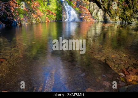 Herbstfarben und Wasserfälle im Shenandoah National Park Stockfoto