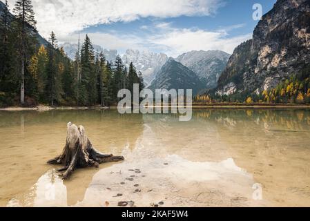 Spiegelung des Cristallo-Bergmassivs und herbstlich gefärbter Bergwälder im Dürrersee, Südtirol, Italien Stockfoto