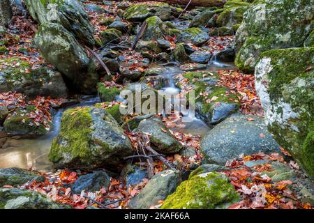 Herbstfarben und Wasserfälle im Shenandoah National Park Stockfoto