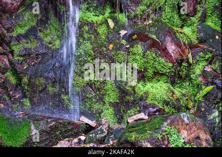 Wasserfall fällt in Felsen mit grünem Moos Stockfoto